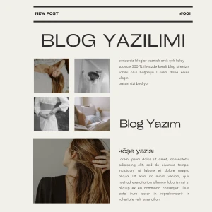 Blog Yazılımı V3